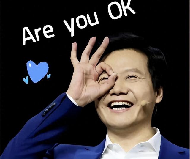 从“AreyouOK”到满屏差评！雷军跌落神坛，用户不再为情怀买单