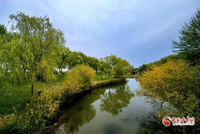 祁连山下是我家丨高台县：湿地保护与绿色发展绘就生态惠民新画卷