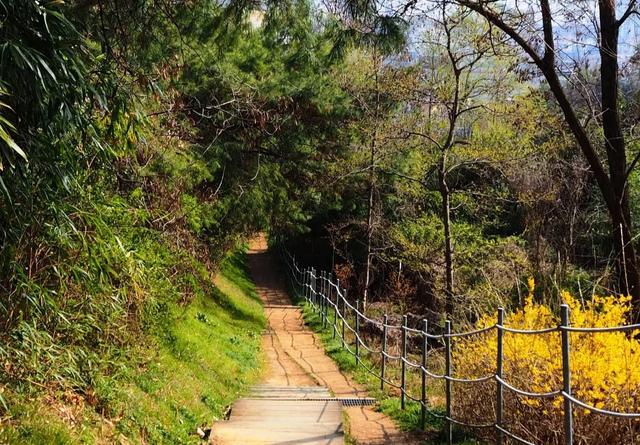 广州一公园走红，被誉为“小九寨沟”，风景优美，拍照很出片