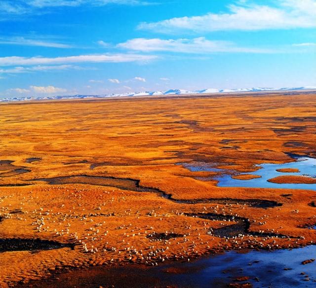 “地球之肾”的巅峰对决：六大湿地凭什么震撼20年？