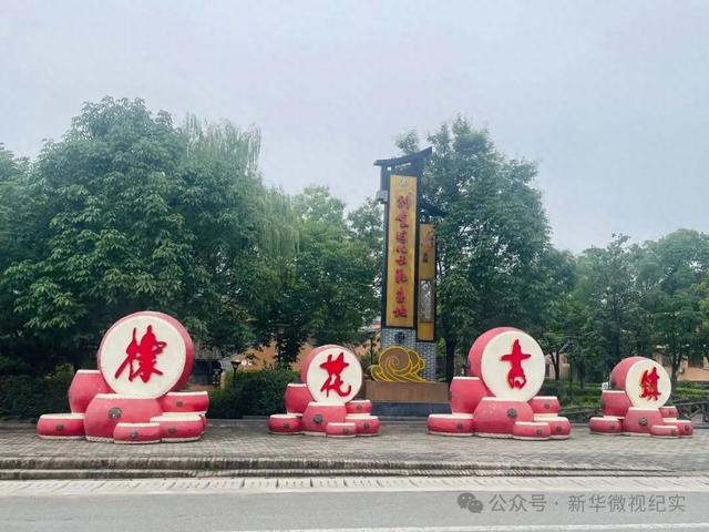 扎根污泥绽清姿：棣花古镇千亩荷花池遐思（作者：卫文龙）