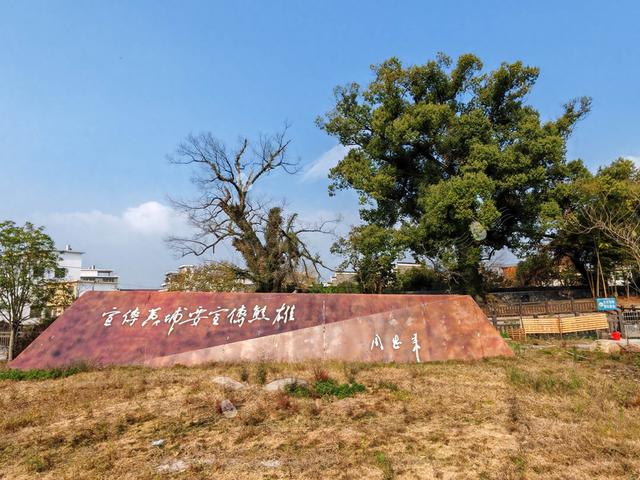 樟荫映丹心 黄埔铸英魂——熊雄故居观后感