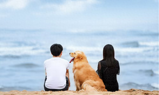 北京独生女：丁克十年	，我后悔了