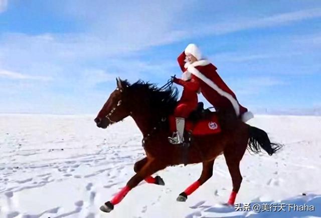 恰似蛟龙御风去——贺娇龙礼赞