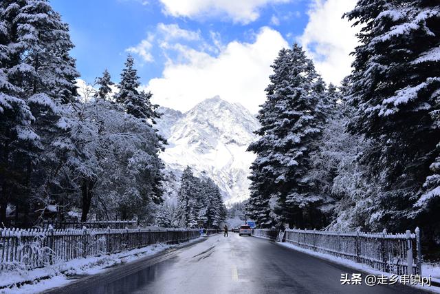 深秋走进理小路