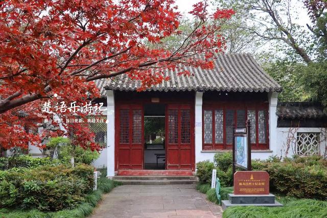 浙江宁波这个小园林被人忽略，但是银杏真是太美了，乌桕也是一绝