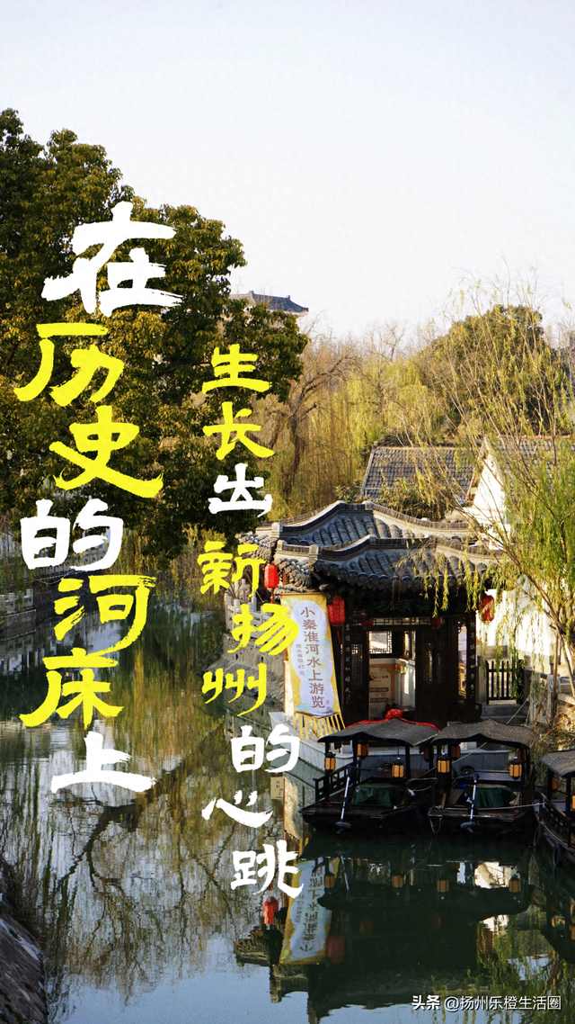 从历史中“长”出未来！扬州这条河正在“逆生长”