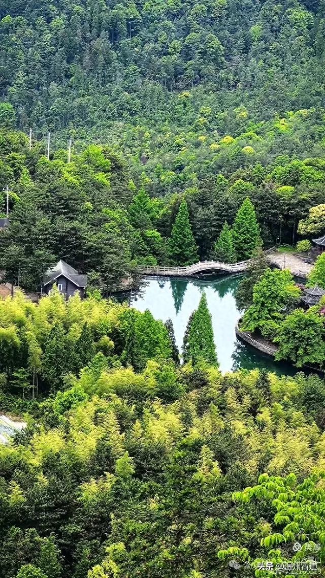 温州酷暑哪里有清凉，当然永嘉四海山！