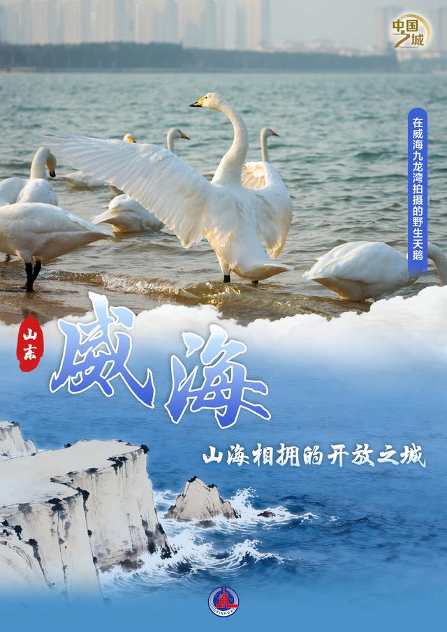 （图表·海报）中国之城丨山东威海：山海相拥的开放之城（2）