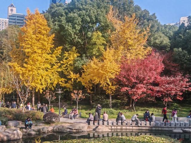 秋色正当时！这座4A级公园换上了“美拉德”秋装