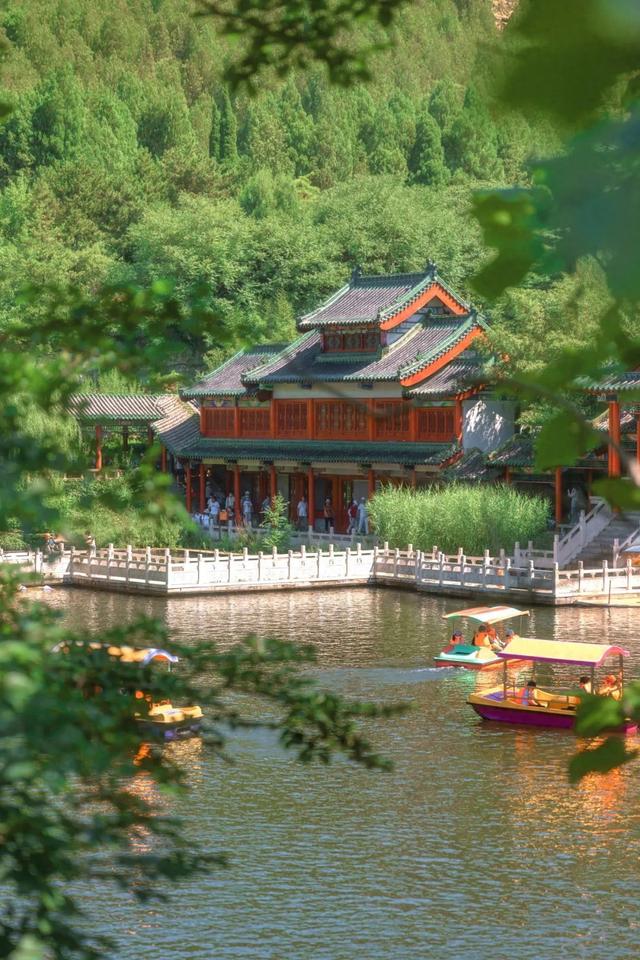 免费畅游！济南竟有这样一片“百合秘境”，美到让人挪不开眼！