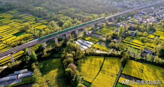 过年去哪儿？陇南！邂逅甘肃最早的金色春天