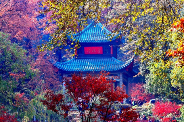 谁说长沙没有秋天？这份赏秋指南别错过！出行推荐“洋葱式”叠穿