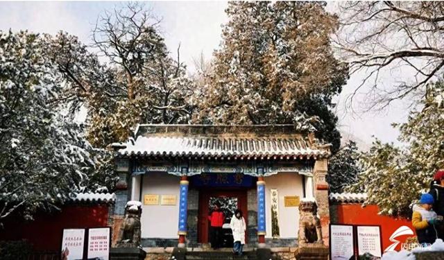 组图丨雪落泰山普照寺 古院美成冬日壁纸