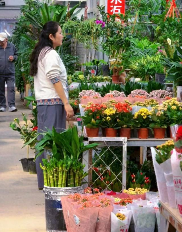 花花花！人人人！火火火！肥城这里简直不要太火爆了…