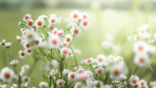 我的旅居生活：在苗族村寨，我们枕着溪水声入眠