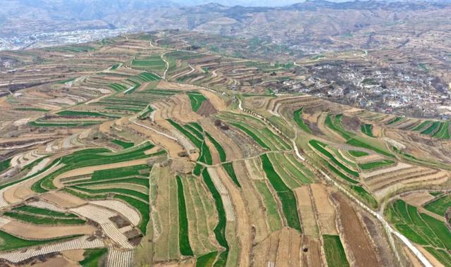 记者手记：春天里的西和