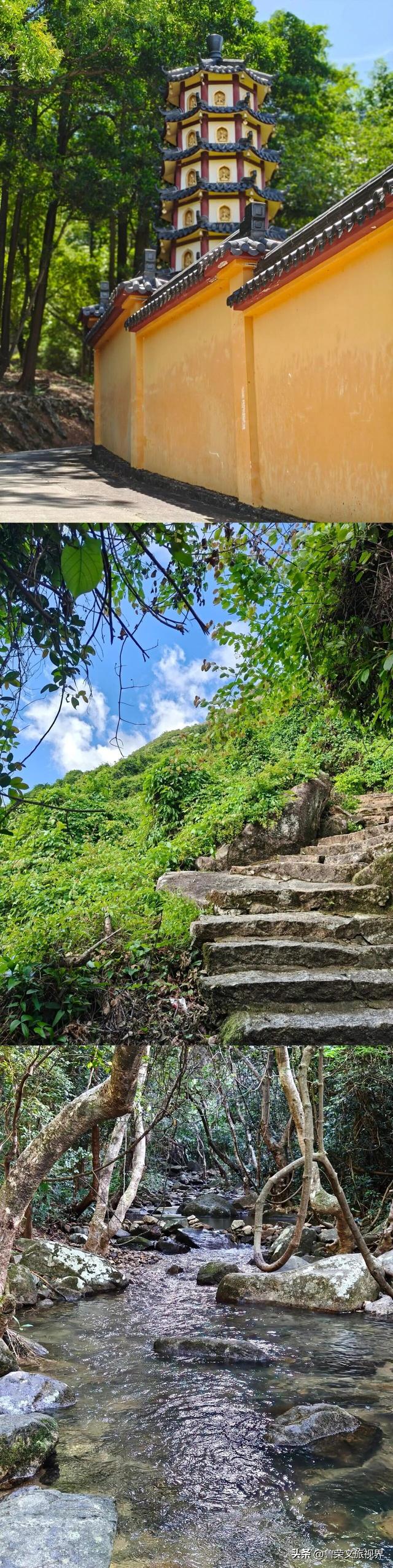 深圳圆山风景区漫记：从禅音到童梦，再攀云巅