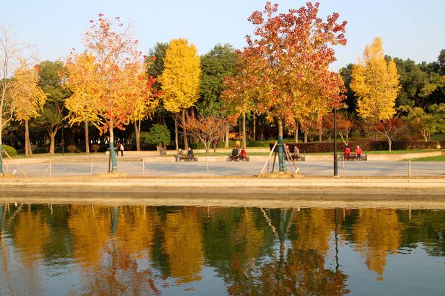 江苏苏州：桐泾公园斑斓冬景引客来