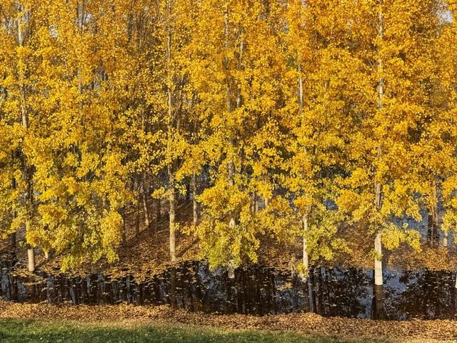 河堤秘境，藏着季节交替的温柔浪漫→
