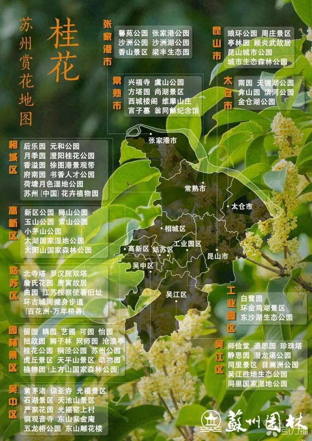 苏州赏桂地图来啦！共赴“闻香之旅”→