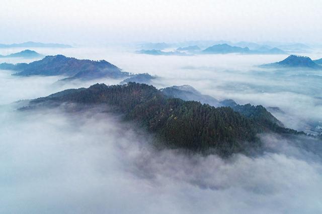 浙江两大国家级自然保护区接连发布禁令，对非法穿越说“不”