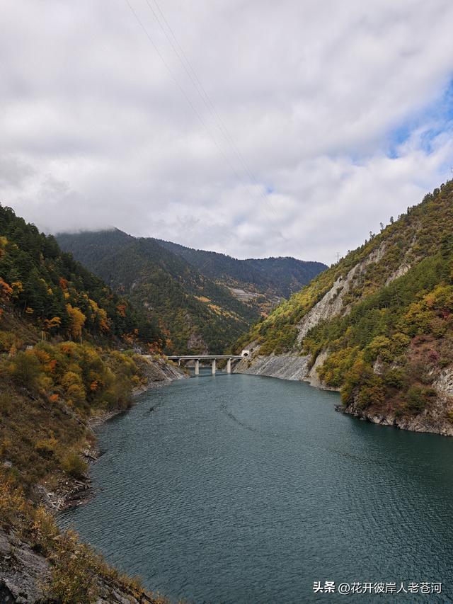 米亚罗彩林季，观赏一日游！