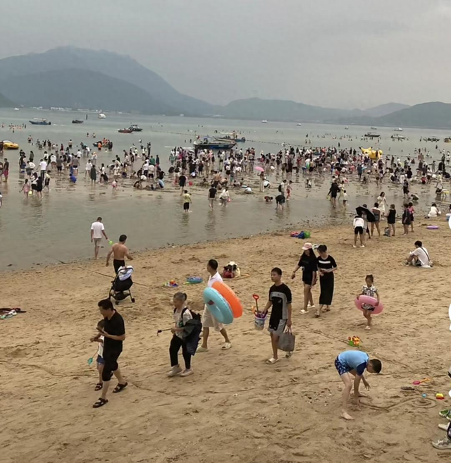 逃离环境岛小游戏攻略（宠客式赶海火了究竟是福还是祸）
