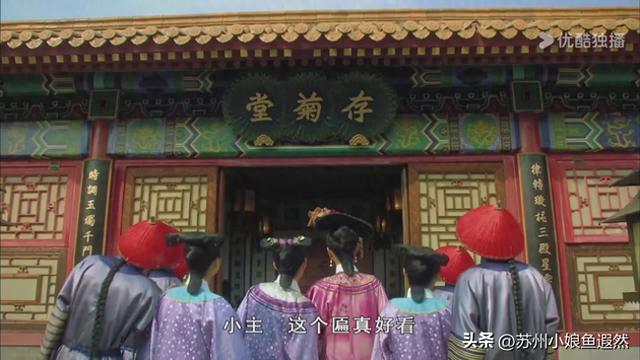 2025苏州狮子林菊展：赴一场比《甄嬛传》存菊堂更盛的秋日菊宴