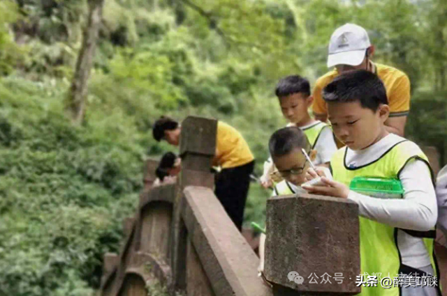 徒步山野，感受绿野仙踪的生命力！