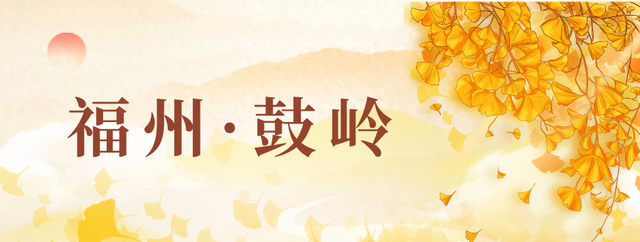 八闽秋冬，藏着一片金色童话