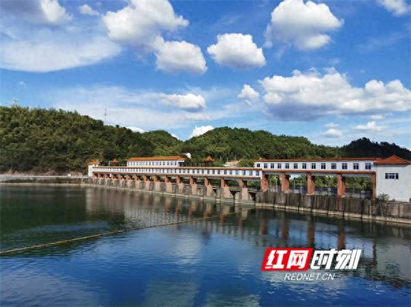 文化永州丨八亩田畔的青春絮语
