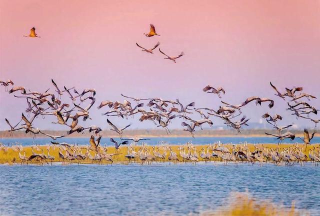 江西“生态账本”的背后：候鸟“衔”来文旅新“钱”景