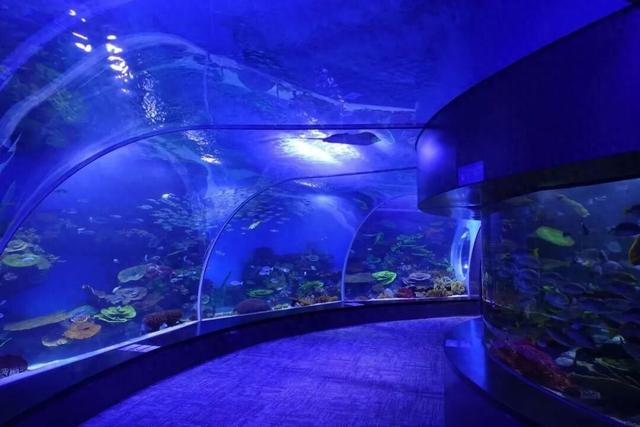 想在闵行过《疯狂动物城》里的生活？雨林区、冰川镇就在你身边→