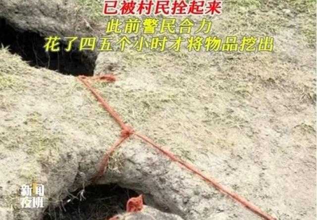 川西“大盗”土拨鼠落网记：相机车钥匙引发的“人鼠大战”