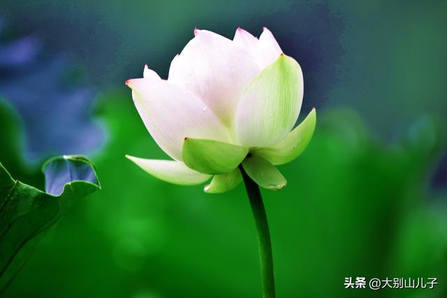 郑州西流湖风光