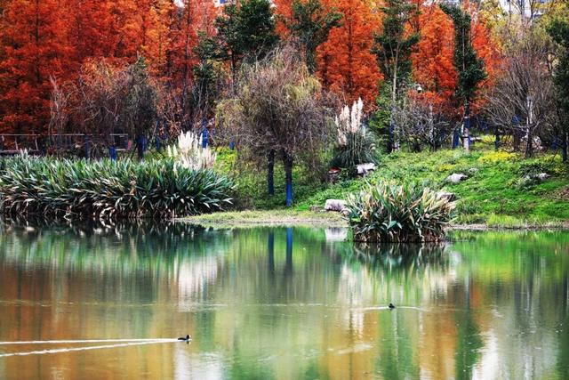 图库推荐丨黔西:草木染初冬,湖畔绘锦卷