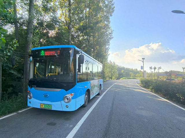 桐柏县大河镇：“兰香小镇”启惠民公交专线 城乡联动绘兰旅融合新篇