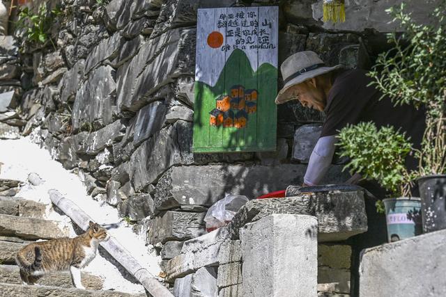 文化中国行·传统村落人文影像志丨丰收节前后，这里藏着皖南最“红火”的秋(2)