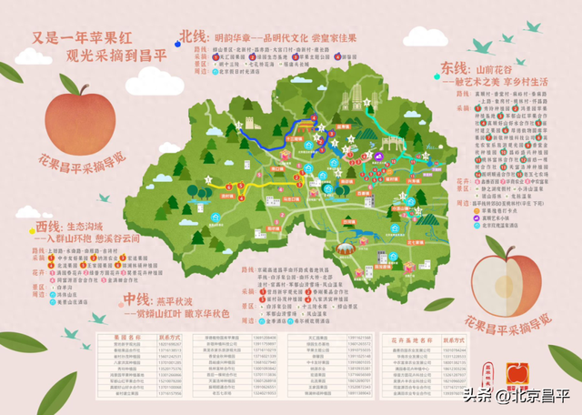 万吨苹果成熟正当时！昌平发布4条苹果采摘路线