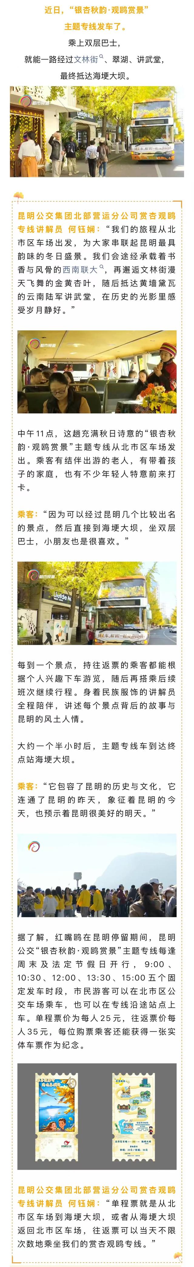 昆明冬日限定浪漫！坐着双层巴士赏银杏、观红嘴鸥，还能经过这些著名景点→