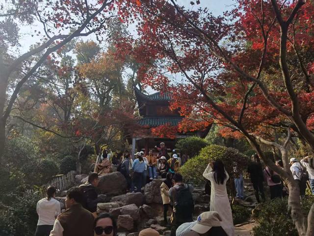 日均游客数万人，岳麓山-橘子洲成冬季旅游“治愈系”打卡地