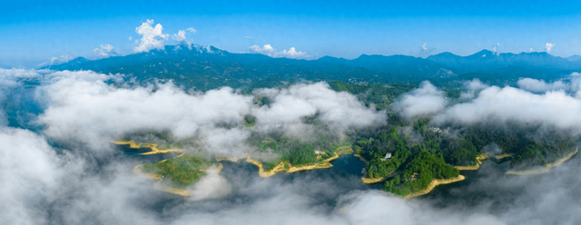 罗田秋韵：杜鹃漫坡映碧水，红叶景区花满岸