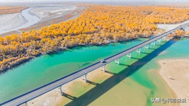 470万亩胡杨林带你秋游大美新疆