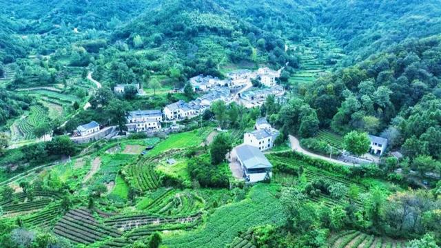 孝昌笔架村：红色热土上的绿色蝶变