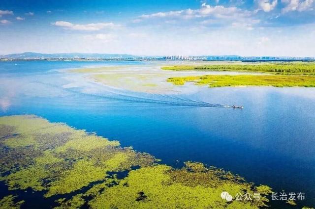 从水利明珠到城市IP：“太行天池”漳泽湖的生态文旅传奇