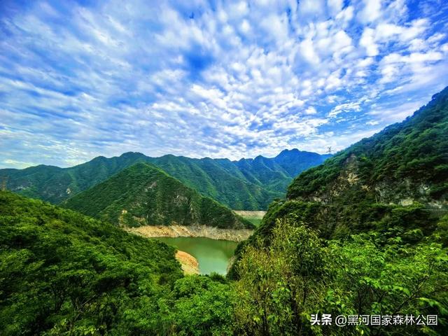 进山纳凉来黑河国家森林公园，让你逃离酷暑，一键降温！