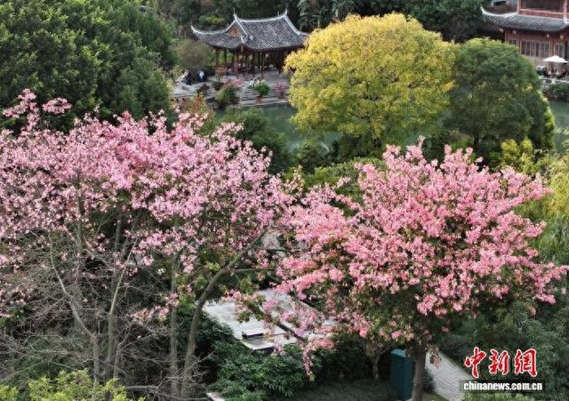 福州：色彩斑斓 冬景如画