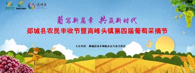 明天，来高峰头镇葡萄节，赴一场甜蜜的葡萄之约！