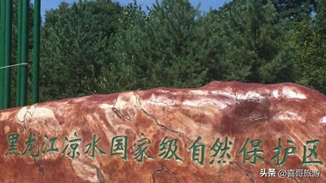 探秘小兴安岭的翡翠：黑龙江凉水国家自然保护区游记